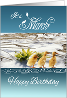 March birthday, ducklings, melting snow, growth, Spring, blue, white, card