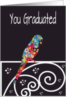 You Graduated,multi colored parrot on rail, knew you were bright, card