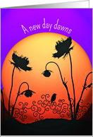 Kidney transplant recovery, new dawn, orange sunrise, poppies, bird, card