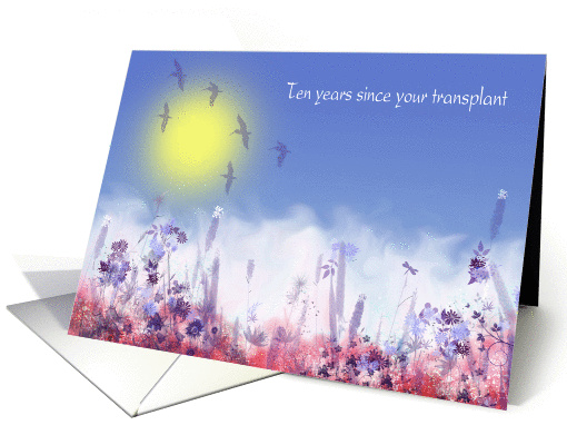 Tenth anniversary of organ transplant, bright,misty... (1066239)