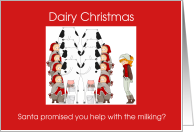 Dairy Christmas...