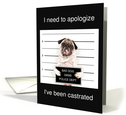 Dog apology, pug mugshot, been castrated joke, black, white, card