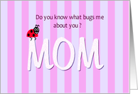 Mom ladybug birthday...