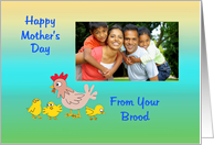 Mother’s day photo card from the brood, hen & chicks card