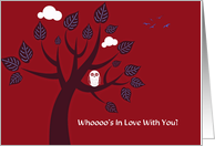 Valentine’s Day owl in tree, Whoooo’s in love with you? card