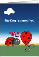 Ladybug Valentine's...