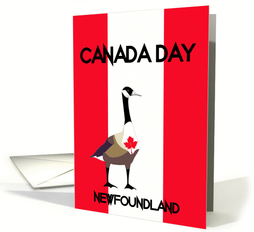 Newfoundland Canada Day, Canada goose, maple leaf, flag colors, card