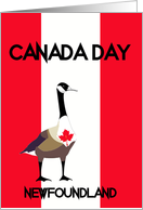 Newfoundland Canada Day, Canada goose, maple leaf, flag colors, card