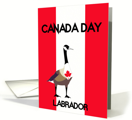 Labrador Canada Day, Canada goose, maple leaf, flag colors, card