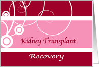 Kidney transplant recovery wishes, pink, red, flourishes, card