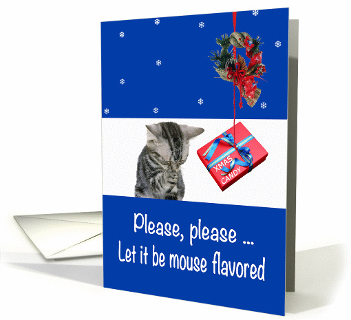 Christmas cat prayer, kitten asking for candy to be mouse... (987851)