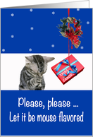 Christmas cat prayer, kitten asking for candy to be mouse flavored, card