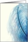 His Feathers Psalm 91:4 card