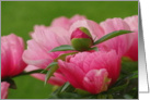 Mother Birthday Pink Flower card
