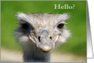 Emu - Hello? card