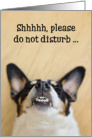 Funny Birthday Card - Dog with Goofy Grin card
