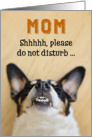 Mom - Funny Birthday Card - Dog with Goofy Grin card