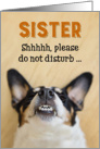 Sister - Funny Birthday Card - Dog with Goofy Grin card