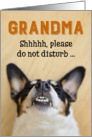 Grandma - Funny Birthday Card - Dog with Goofy Grin card