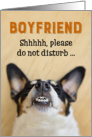 Boyfriend - Funny Birthday Card - Dog with Goofy Grin card