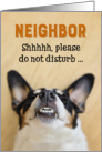 Neighbor - Funny Birthday Card - Dog with Goofy Grin card