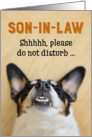 Son-in-Law - Funny Birthday Card - Dog with Goofy Grin card