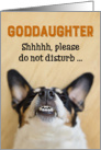 Goddaughter - Funny Birthday Card - Dog with Goofy Grin card