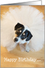 Humorous Birthday Card - Dog Wearing a Tutu card