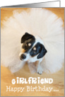 Girlfriend Humorous Birthday Card - Dog Wearing a Tutu card