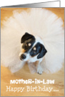 Mother-in-Law Humorous Birthday Card - Dog Wearing a Tutu card