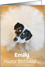 Custom Humorous Birthday Card - Dog Wearing a Tutu card
