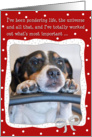 Humorous Christmas Card - Dog Pondering Life,The Universe and All That card