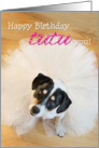 Humorous Birthday Card - Dog Wearing a Tutu card