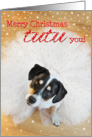Humorous Christmas Card - Dog Wearing a Tutu card