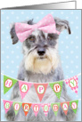 Birthday Card - Miniature Schnauzer Wearing Pink Polka Dot Bow card