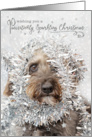 Humorous Christmas Card - Dog Wearing Tinsel card