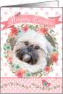 Shih Tzu Easter Card - Peach Flowers and Polka Dots card