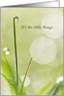 Sympathy Thank You Card - Dewdrop on a Blade of Grass card