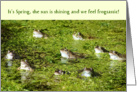 Funny Easter Card - Frogs in a Pond card