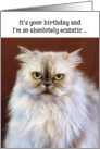 Humorous Birthday Card - Ecstatic Persian Cat card