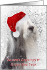 Dog Christmas Card - Bearded Collie in Santa Hat - Snowy Scene card
