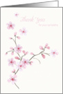 Thank You for Your Sympathy - Pink Blossom Flowers card