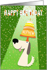 Nephew Birthday Card - Dog Balancing Birthday Cake on Head card