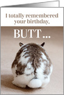 Funny Belated Birthday - Cute Bunny Butt card