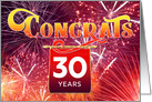 Employee Anniversary 30 Years - Celebration Firework card