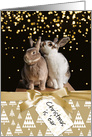 Funny Bunny Christmas card