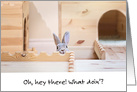 Catching Up With Old Friends Cute Bunny card