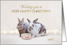 Cute Bunnies Humorous Christmas Card