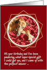 Gorgeous Lurcher Dog Funny Birthday card