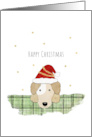 Christmas Cute Dog Wearing Santa Hat card